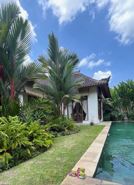 Villa Exotica Убуд Екстер'єр фото